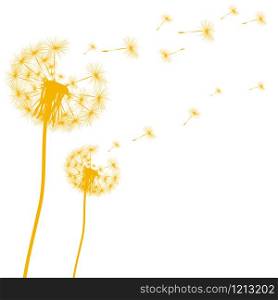 Silhouette of a dandelion on a white background vector. Silhouette of a dandelion on a white background