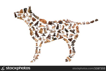 silhouette of a dog made with dog photos