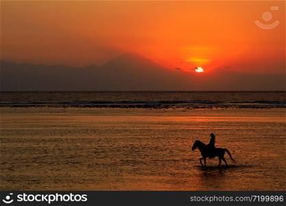 Silhouette of a horse and rider in shallow water on a scenic beach at sunset