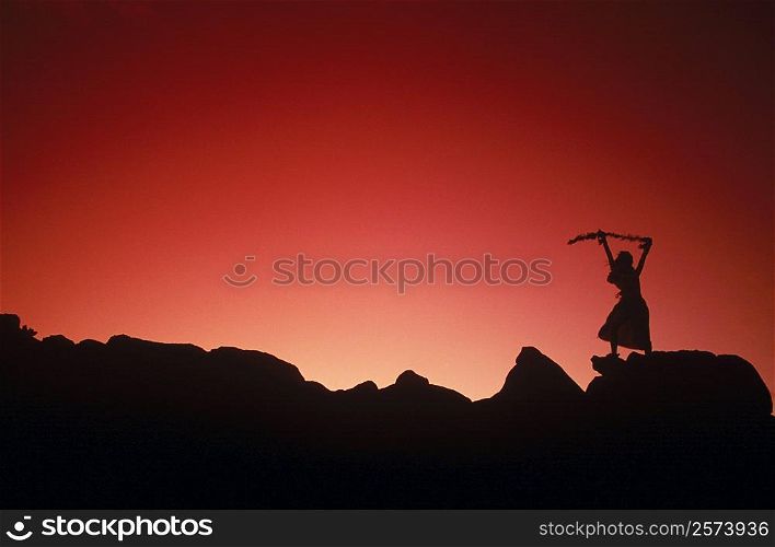 Silhouette of a hula dancer dancing on a rock, Hawaii, USA