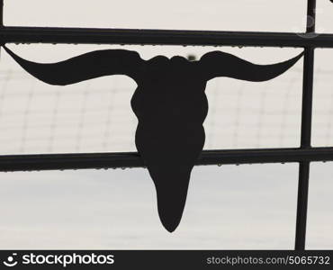 Silhouette of a Hunting trophy on a window, Turner Valley, Cowboy Trail, Millarville, Alberta, Canada