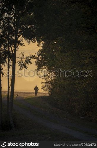 Silhouette of a jogger man running on an alley along the autumnal forest at sunrise on a foggy morning day of october