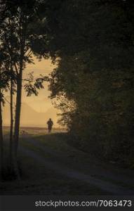 Silhouette of a jogger man running on an alley along the autumnal forest at sunrise on a foggy morning day of october