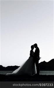 Silhouette of a just married couple against the sky in black and white