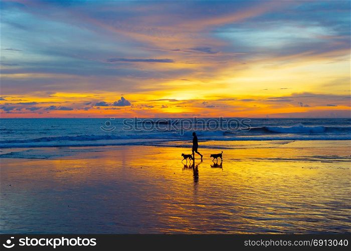 Silhouette of a man walking with the dogs on a beach at sunset. Bali island, Indonesia