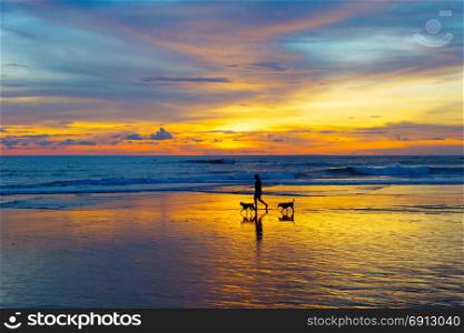 Silhouette of a man walking with the dogs on a beach at sunset. Bali island, Indonesia