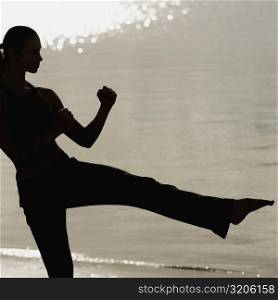 Silhouette of a mid adult woman practicing martial arts