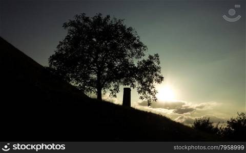 Silhouette of a monument next to a tree in the sunset with a cloudy sky