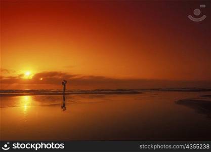 Silhouette of a person carrying a baby on the beach