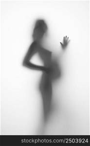 silhouette of a pregnant woman from the side on a light background. silhouette of a pregnant woman on a light background