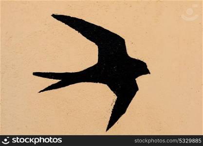 Silhouette of a swallow on a orange background