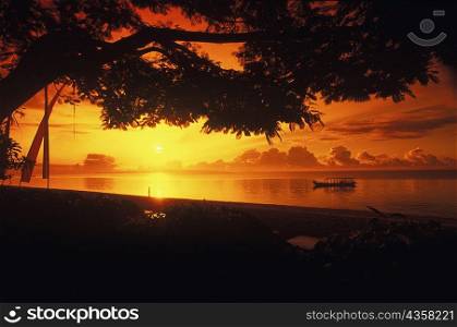 Silhouette of a tree along a river at sunset, Bali, Indonesia