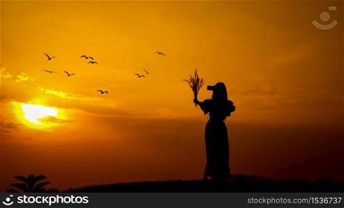 silhouette of a woman holding a photocamera by smartphone and grass flower on hand taking pictures outside during sunrise or sunset and flying birds background, alone nature people concept.