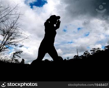 Silhouette of athletic woman running on forest trail. Female runners running in nature in sunset. Workout Healthy lifestyle concept.