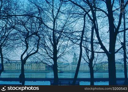Silhouette of bare trees in front of buildings at dusk, Academy of Science, St. Petersburg, Russia