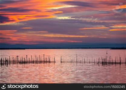 Silhouette of birds standing on poles at dusk in the Albufera in Valencia, a freshwater lagoon and estuary in Eastern Spain.