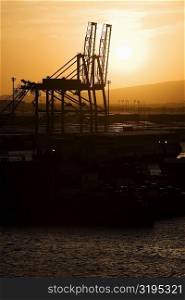 Silhouette of cranes at a commercial dock