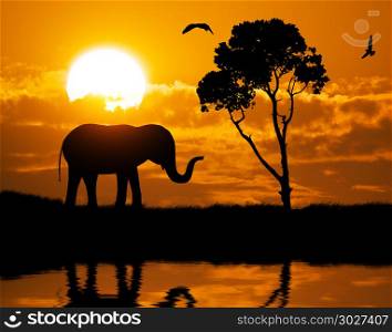 Silhouette of elephant. Element of design.. Silhouette of elephant
