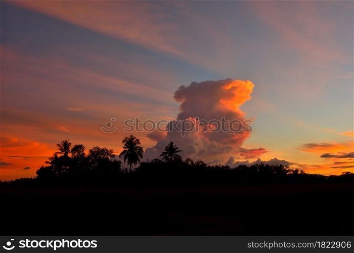 Silhouette of forest trees with orange clouds sunset background