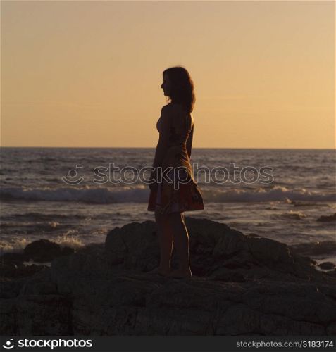 Silhouette of girl by seashore