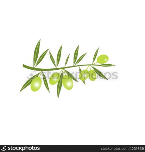 Silhouette of green olive branch isolated on white