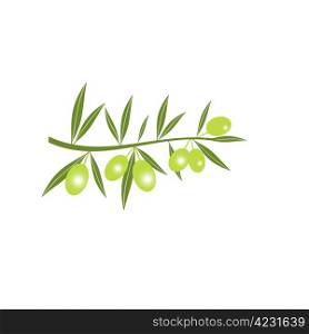 Silhouette of green olive branch isolated on white