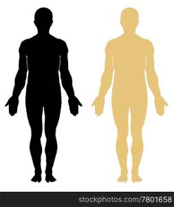 Silhouette of human. Male. Male human anatomy