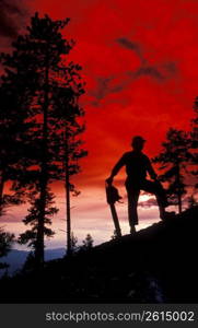 Silhouette of logger on hill