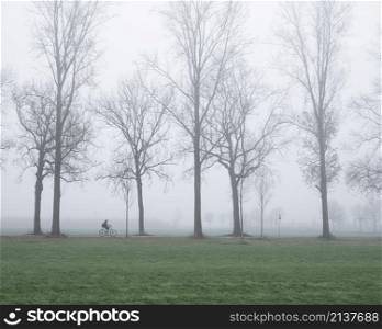 silhouette of lonely bicycle and bare trees along country road in the netherlands on misty day in winter