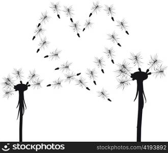 Silhouette of love dandelion concept