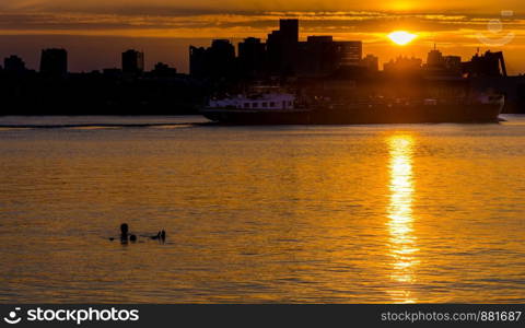 Silhouette of man swimming on Maas river in Rotterdam, Netherlands with skyline in background.. Silhouette of man swimming on Maas river in Rotterdam, Netherlands with skyline in background
