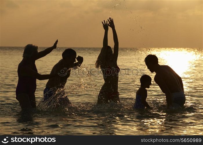 Silhouette Of Multi Generation Family Having Fun In Sea