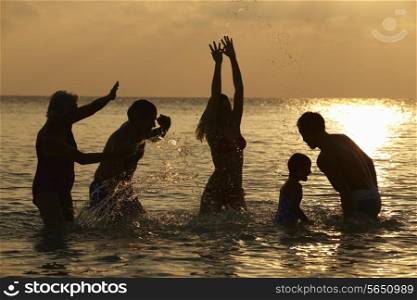 Silhouette Of Multi Generation Family Having Fun In Sea