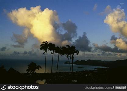 Silhouette of palm trees against a calm sea at dusk, St. Lucia