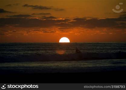 Silhouette of people in the sea at dusk, San Diego, California, USA