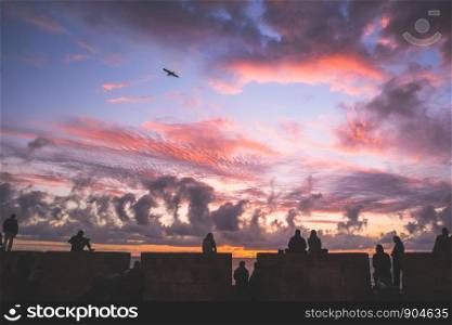 Silhouette of people relaxing along the Essaouira citadel at sunset twilight sky. Flying bird with clouds over Atlantic ocean at Skala du Port, Morocco.