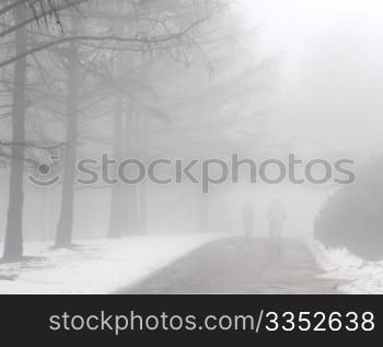Silhouette of people walking in a foggy winter park