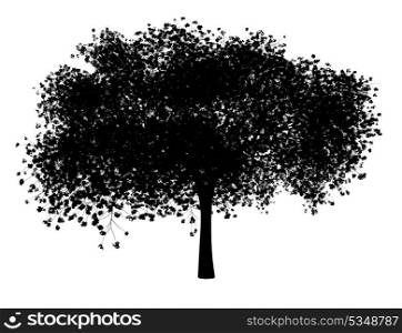 silhouette of sour cherry tree isolated on white background