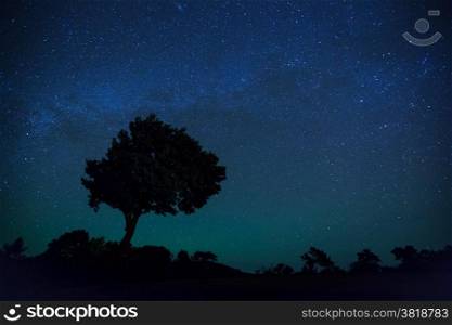 Silhouette of Tree and milky way with star