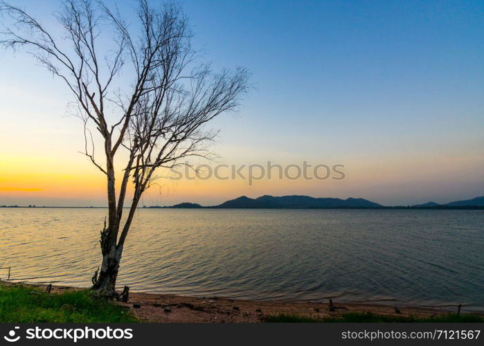 silhouette of tree at reservoir Bang Phra, Sriracha, Chonburi, Thailand, in sunset