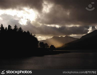 Silhouette of trees along a river