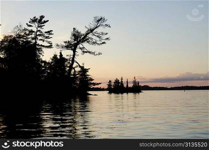 Silhouette of trees at dusk, Lake of the Woods, Ontario, Canada