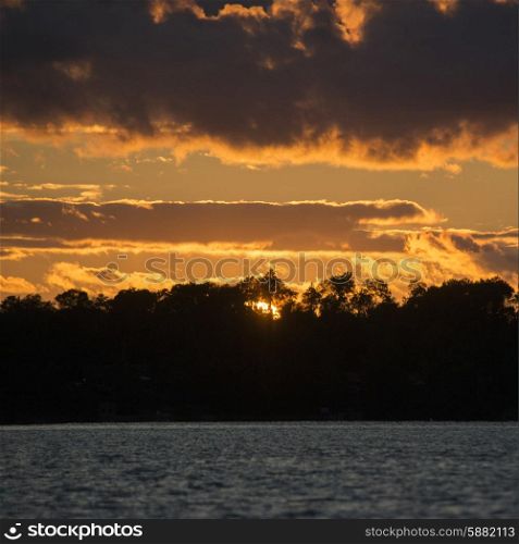 Silhouette of trees at lakeside during sunset, Lake Of The Woods, Ontario, Canada