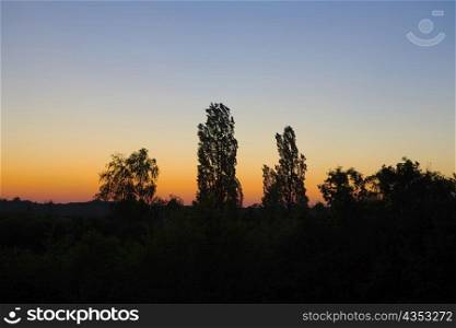 Silhouette of trees at sunset, Loire Valley, France