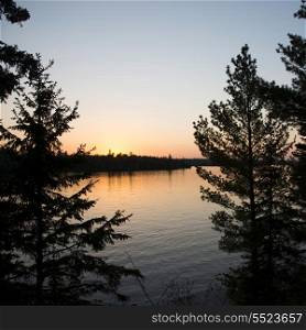 Silhouette of trees at the lakeside, Kenora, Lake of The Woods, Ontario, Canada