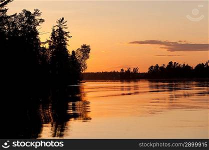 Silhouette of trees at the lakeside, Lake of the Woods, Ontario, Canada