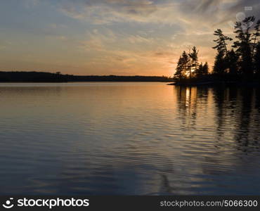 Silhouette of trees at the lakeside, Lake of The Woods, Ontario, Canada
