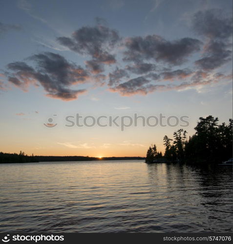 Silhouette of trees at the lakeside, Lake of The Woods, Ontario, Canada