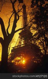 Silhouette of trees in front of a tower, Eiffel Tower, Paris, France