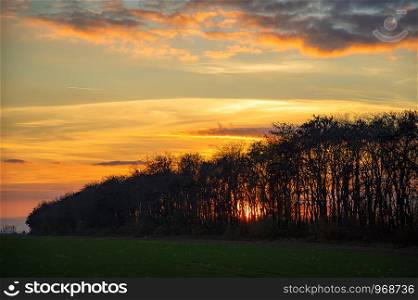 Silhouette of trees on the field at the sunset. Amazing sky and sunlight at sunset sky between the trees.
